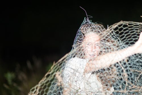 Fences with Taylor Ross